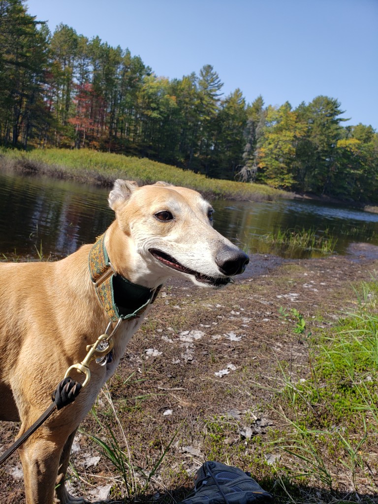 post dip in the pond..ahhh